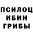 Псилоцибиновые грибы прущие грибы Julia Back