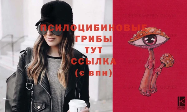 круглые Алексеевка