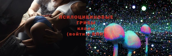 круглые Алексеевка